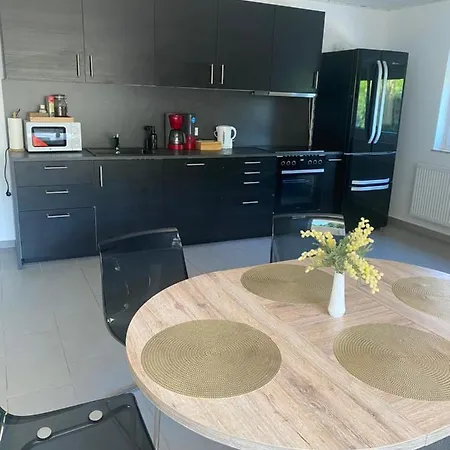 Tiger Apartment 2 Sinsheim Extérieur photo